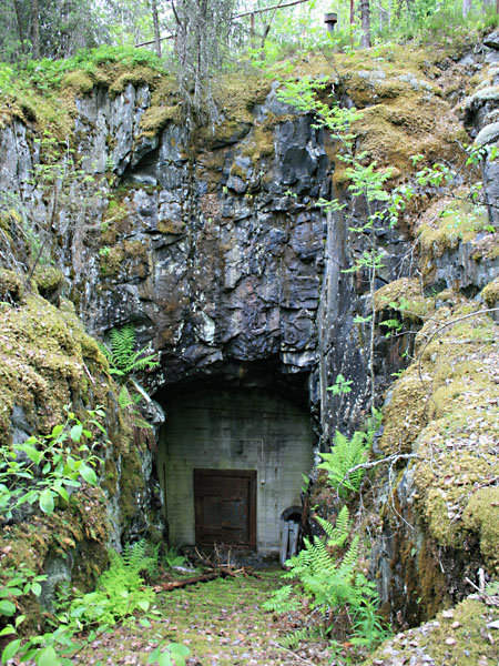 Sis&auml;&auml;nk&auml;ynti